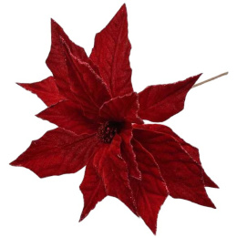Gwiazda betlejemska czerwony welur z brokatem (CV20473)
